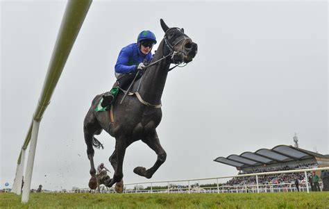 getyourtipsout|getyourtipsout daily selections.